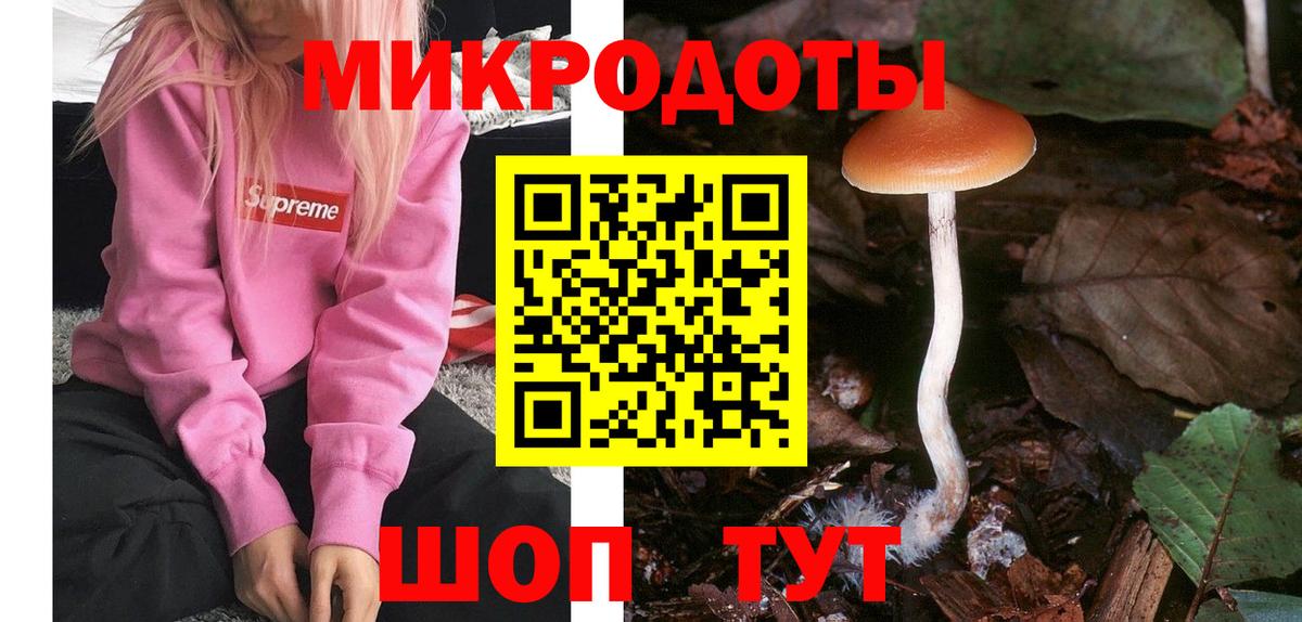 Галлюциногенные грибы GOLDEN TEACHER Новочеркасск