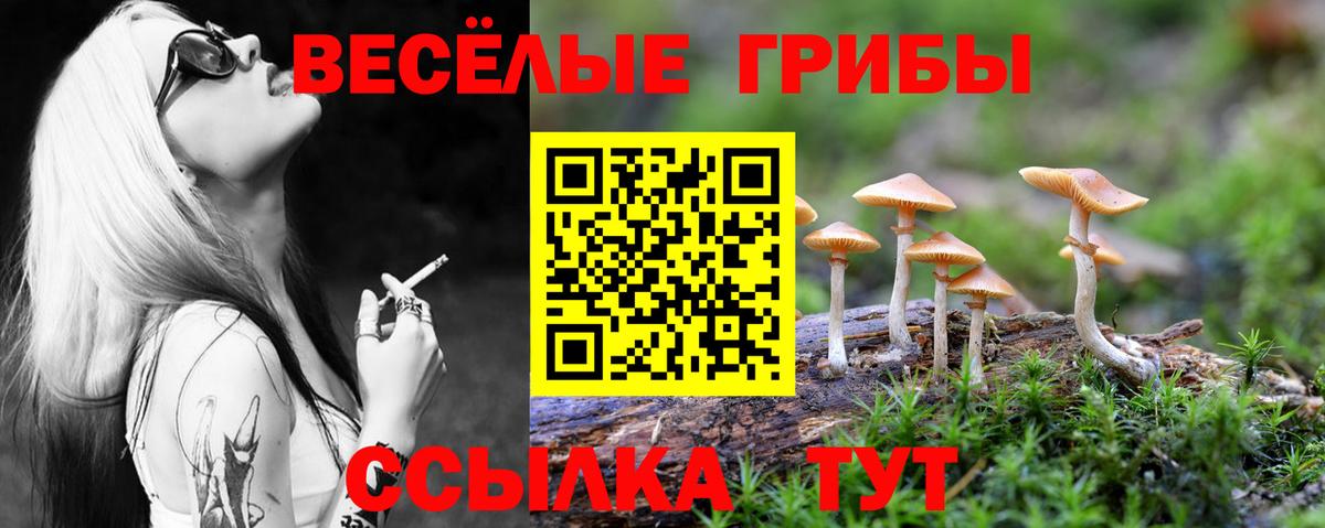 Псилоцибиновые грибы Psilocybe  Вход с VPN  Новочеркасск 