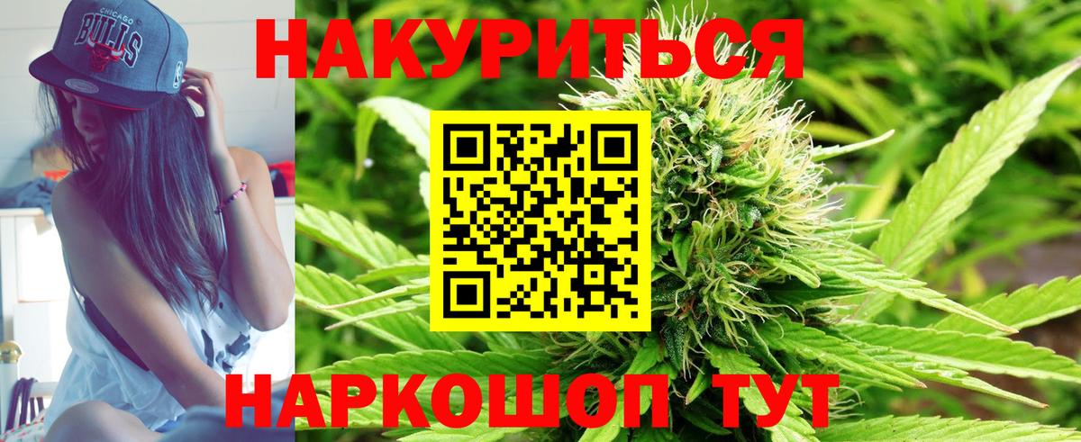 Бошки марихуана SATIVA & INDICA  МАРИХУАНА планчик  Вход с VPN  Новочеркасск  Бошки Шишки семена 